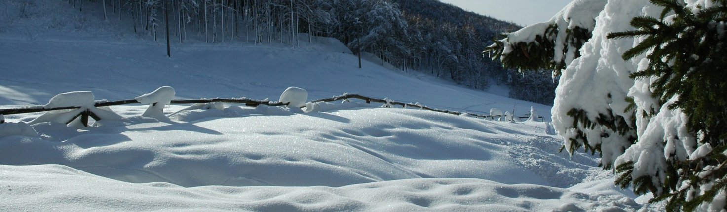 Parco Valentino al Monte Coltignone